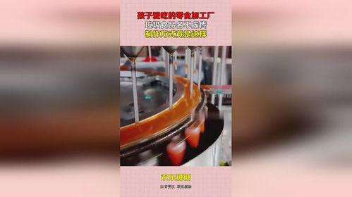 零食加工廠的秘密 孩子最愛吃的“垃圾食品”是如何制作的？